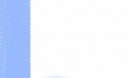 日料爆料真假怎么辨别视频,如何辨别视频真伪