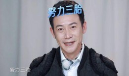 陆毅爆料郑恺原因视频,真相背后的惊人转折